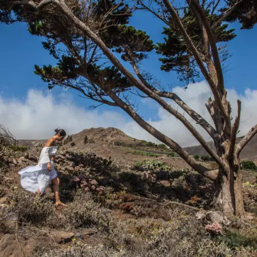 Como transformar el dolor