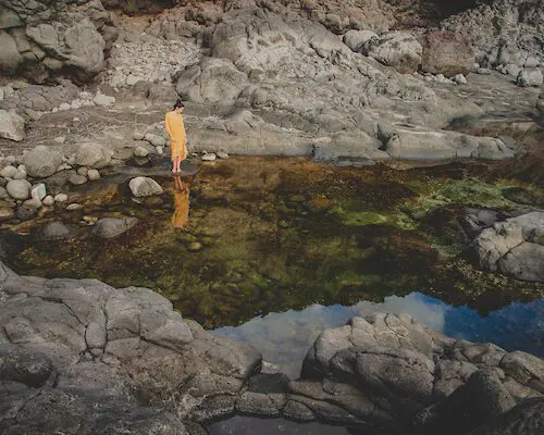 La vida de la sombra