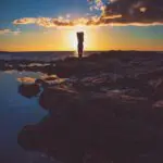 What is your purpose?