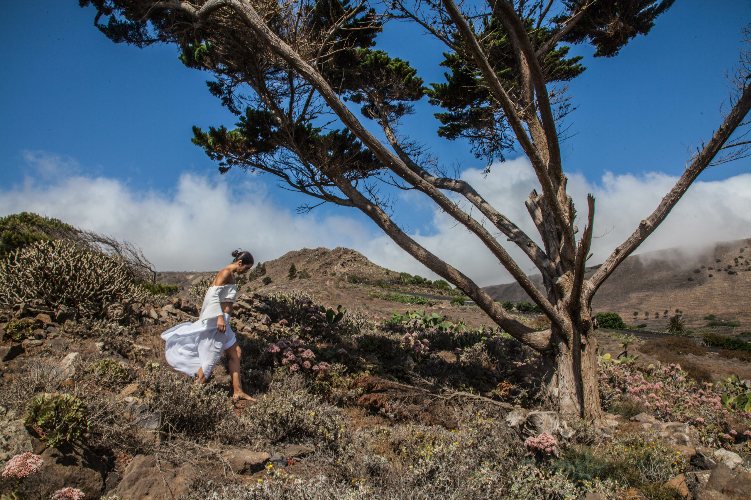 Como transformar el dolor